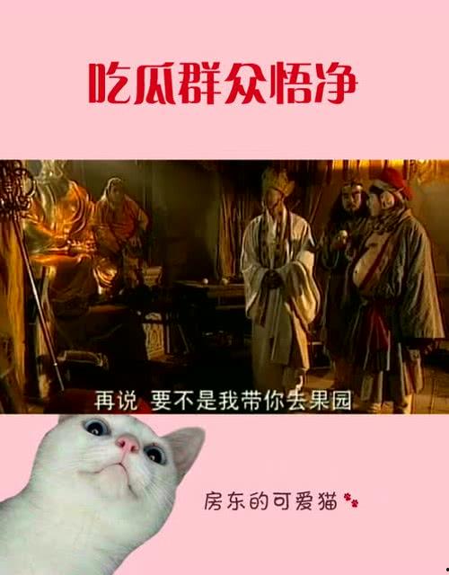 悟空吃瓜图,揭秘猴王偷闲的悠闲时光
