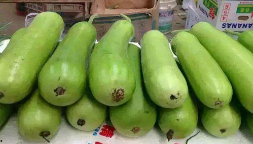 瓠瓜储存方法冬天吃,轻松享受新鲜美味