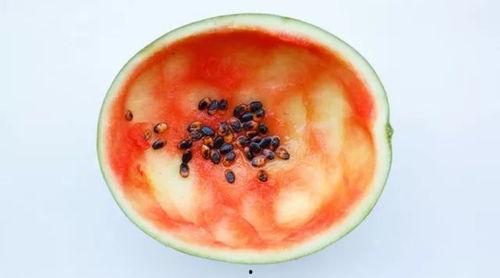 喝去寒中药可以吃胶瓜吗,寒性中药与胶瓜的饮食搭配指南