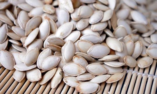 专门吃南瓜子的瓜是什么瓜,揭秘“南瓜子瓜”的独特魅力