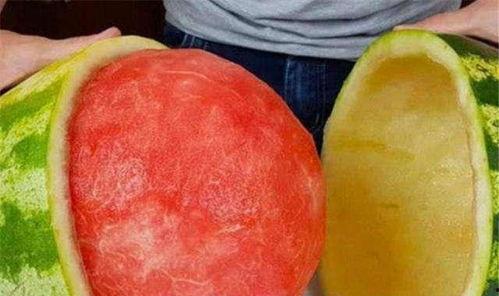 迪拜怎么吃瓜,品味独特的“吃瓜”文化