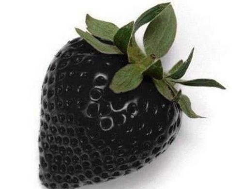 黑色玫瑰吃瓜13部,吃瓜13部，揭秘娱乐圈风云变幻