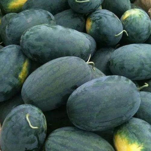 你们吃瓜了吗京城,揭秘“吃瓜了吗”背后的热点事件