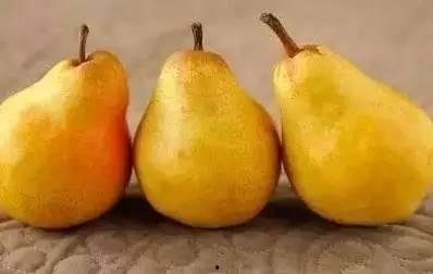 沾蜂蜜吃瓜,沾蜂蜜吃瓜，尽享夏日清新美味