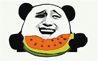 吃瓜吃自己,吃瓜吃自己，揭秘网络时代的自我调侃